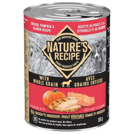Nature's Recipe Pâté Haut de Gamme Recette au Poulet, à la Citrouille et au Saumon avec Grains Entiers 368g