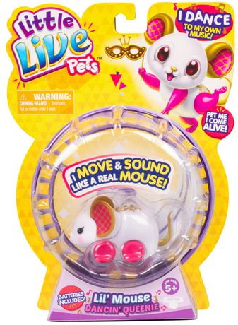 Little Live Pets Dancin' Queenie Mouse Pet Toy - Walmart.ca