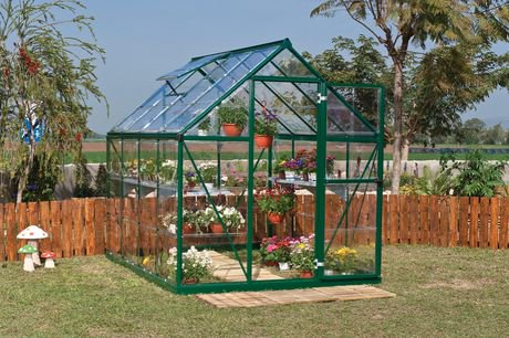 Premier Green Nature Series Greenhouse 6' X 8' 