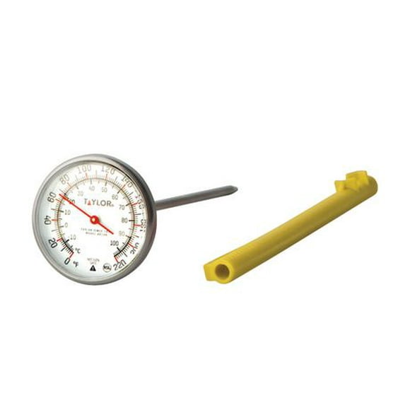 Taylor Extra Large Dial Thermometer