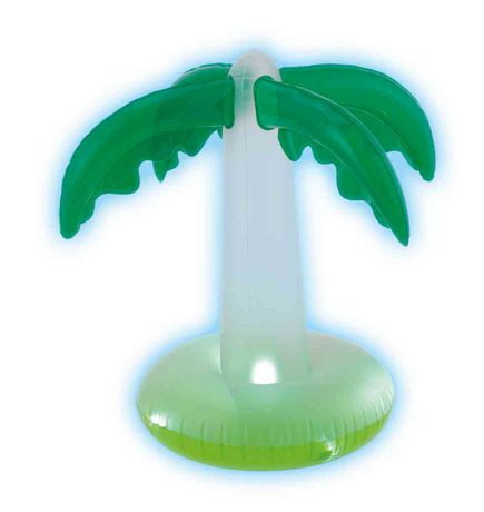 palm pool float