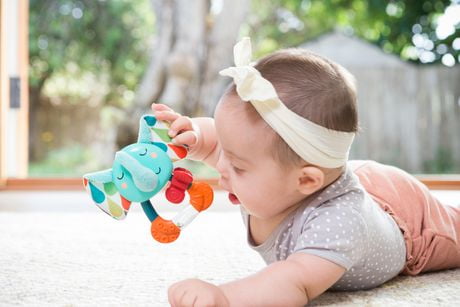 infantino go gaga teether
