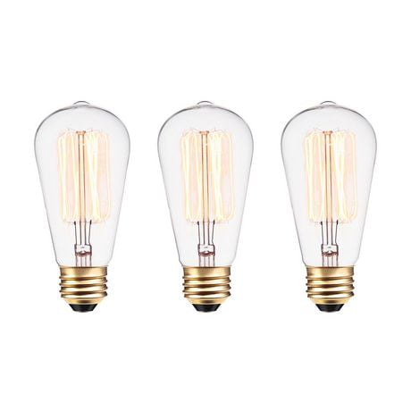 Ampoule Vintage Edison incandescente S60 avec filament et cage d'écureuil de 60W, paquet de 3, base E26, 220 Lumens