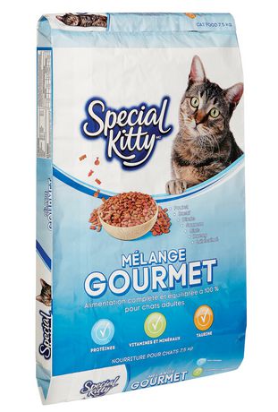 special kitty cat food