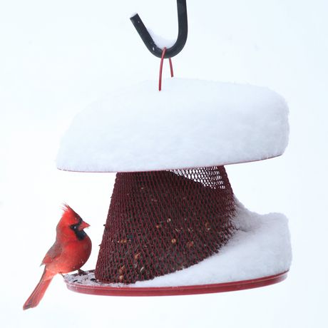 best rated cardinal bird feeder