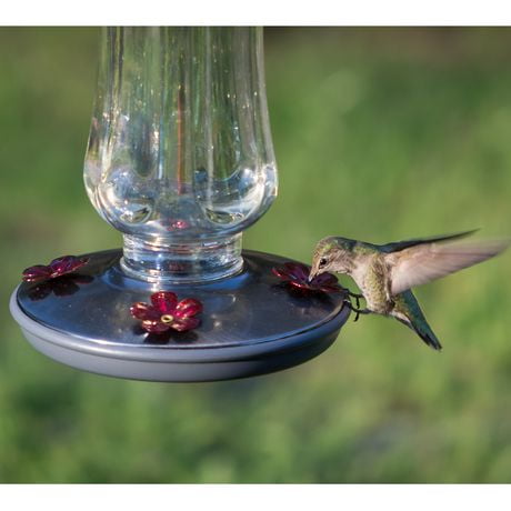 Perky Pet Starglow Vintage Glass Hummingbird Feeder Walmart Canada