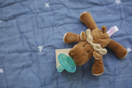 moose pacifier