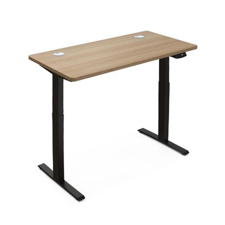 Hi5 Electric Height Adjustable Standing Desks with Rectangular Tabletop (47.25" x 24"/120 x 60cm), Oak Top/Black Frame