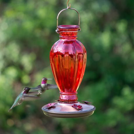 Perky Pet Daisy Vase Vintage Glass Hummingbird Feeder Walmart Canada