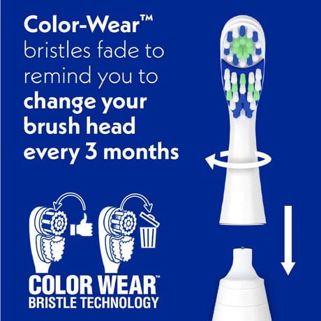 spinbrush toothbrush battery replacement