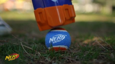 nerf dog blaster walmart