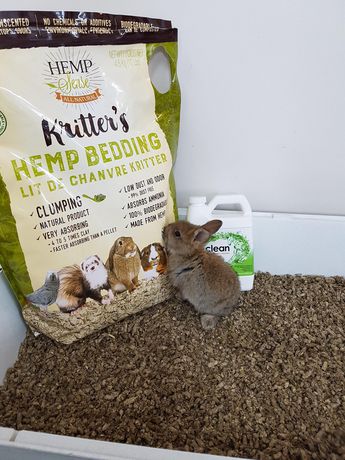 hemp bedding for rats