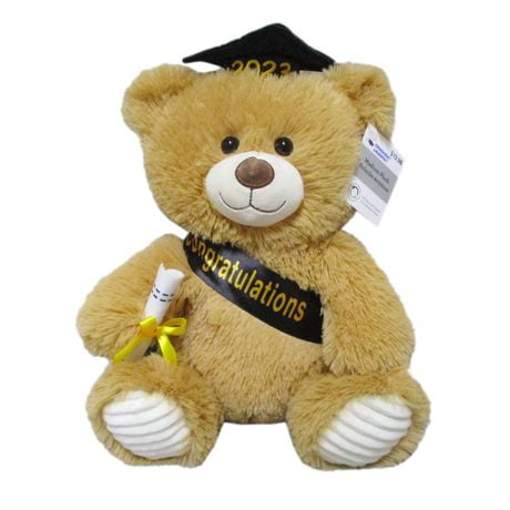 Way To Celebrate Graduation Plush Bear, 10.5inch - Walmart.ca