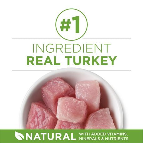 purina one advantage indoor cat food