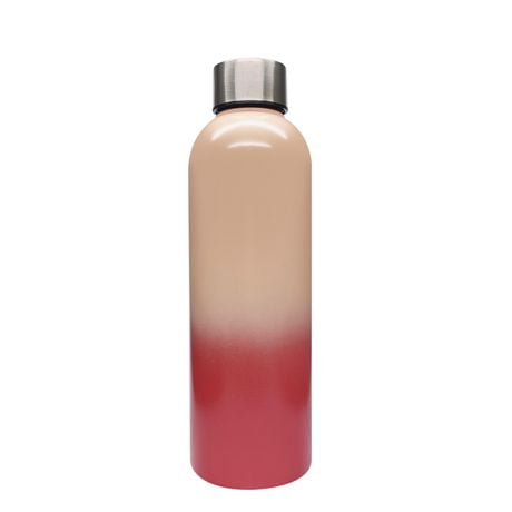 hometrends 17oz Stainless steel double wall water bottle Pink ombre ...