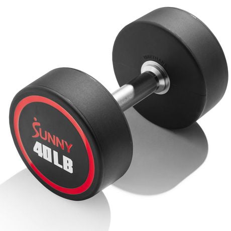 Viva dumbbells price sale