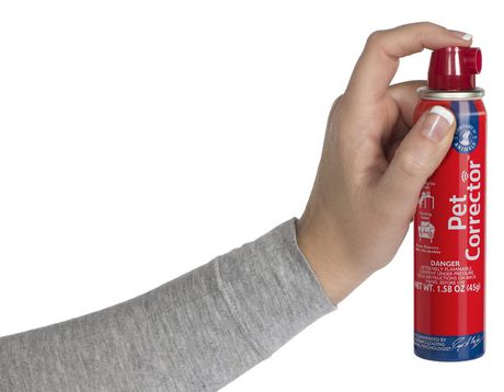 the pet corrector spray