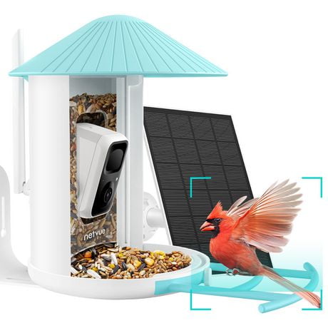 Mangeoire à oiseaux avec caméra, Netvue Birdfy Smart Bird Feeder avec identification AI gratuite pour l'observation des oiseaux, bleu (Birdfy+Solar)