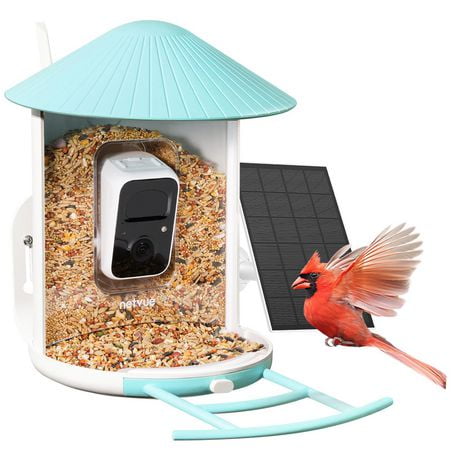 Mangeoire à oiseaux avec caméra d'extérieur, mangeoire à oiseaux intelligente Birdfy pour l'observation des oiseaux, capture d'images/vidéos/détection de mouvement, bleu (Birdfy Lite + Solar)