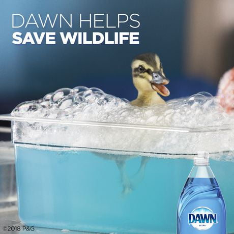 Dawn Escapes Dishwashing Liquid Dish Soap New Zealand Springs | Walmart ...