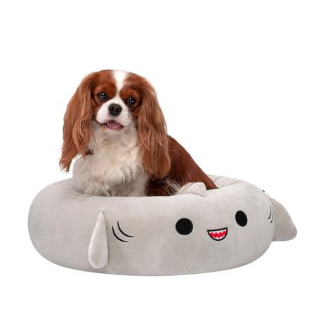 Squishmallows Dog Bed - Cat Bed: Gordon the Shark