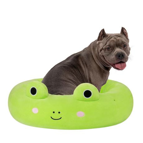 Squishmallows Dog Bed - Cat Bed 30" - Wendy the Frog