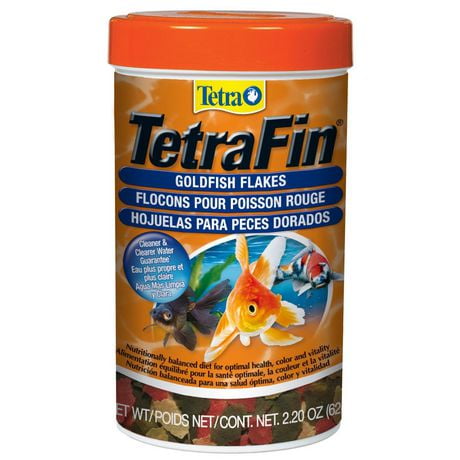 TetraFin Fish Food Flakes for Goldfish, 62g