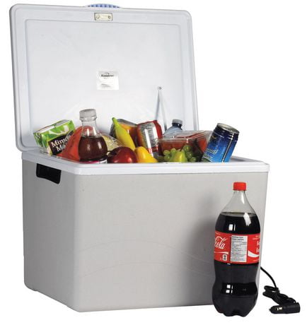 plug in cooler canadian tire