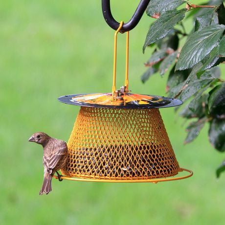 Perky-Pet No/No Designer Sunflower Single Tier Bird Feeder with Perch ...