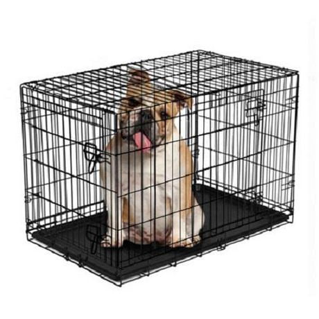 Vibrant Life Double-Door Metal Wire Dog Crate with Divider