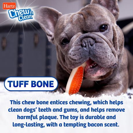 hartz chew n clean large