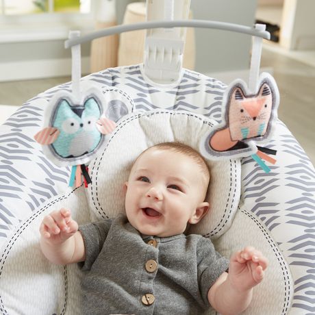 see and soothe bouncer