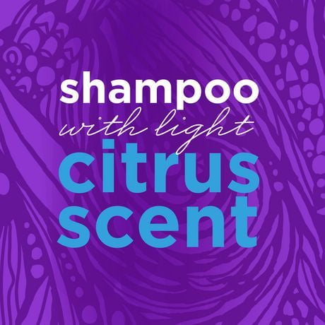 shampoo aussie moist mega pump walmart