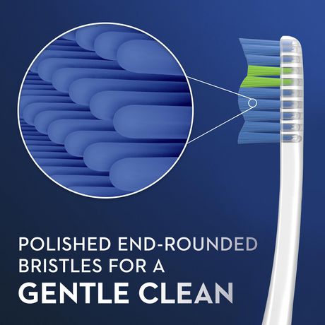 blue indicator bristles