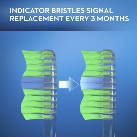 indicator bristles