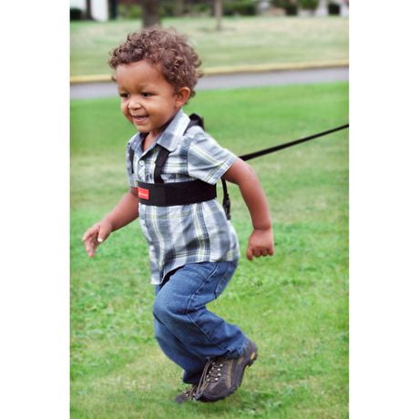 baby harness walmart