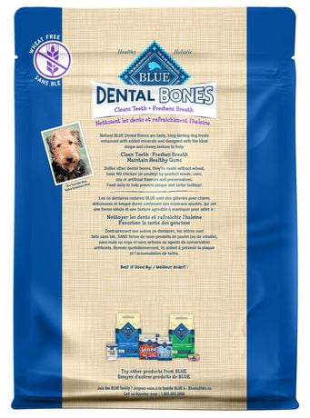 blue dental bones large