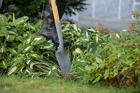 garant garden spade