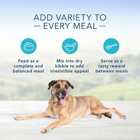 blue senior wet dog food