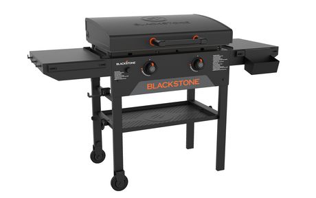 Expert Grill 10,000 BTU Portable Propane Gas Grill, Stainless Steel,  GBT1754W-C 