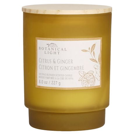 8oz Citrus & Ginger Soy Wax Blended Scented Candle