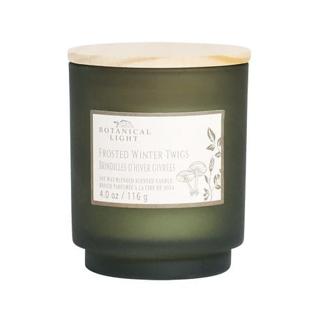 4.1oz Frosted Winter Twigs Soy Wax Blended Scented Candle