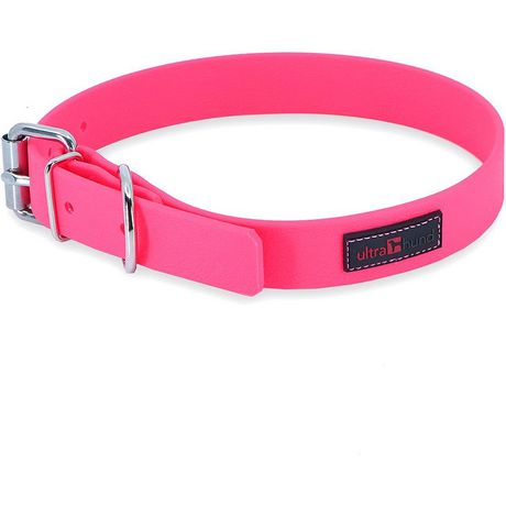 Buy Reflective Dog Collar with Buckle Adjustable Safety Nylon Collars for  Small Medium Large Dogs, Hotpink XS Online at Low Prices in India 