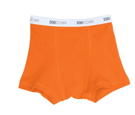 Zoocchini Organic Boys Underwear Enchanted Forest - 3 Pack | Walmart Canada