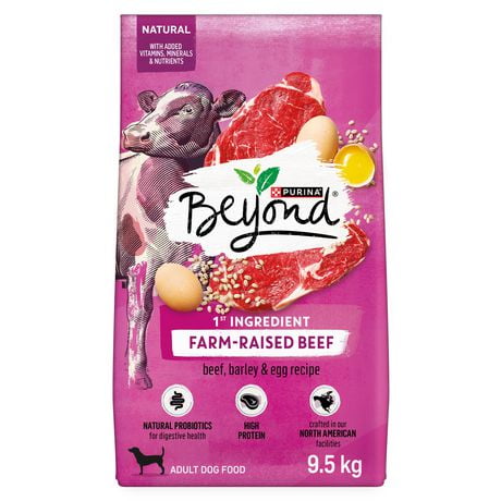 Beyond Simply Farm-Raised Beef, Barley & Free Run Egg Recipe, Dry Dog Food, 1.67-5 kg