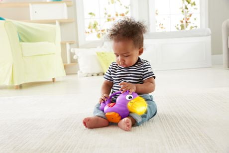 Tapis De La Jungle Fisher Price Walmart Canada