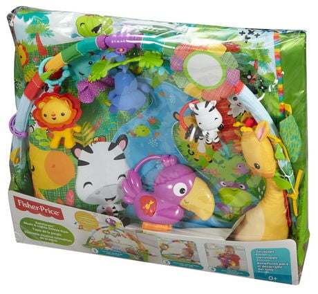 fisher price rainforest deluxe
