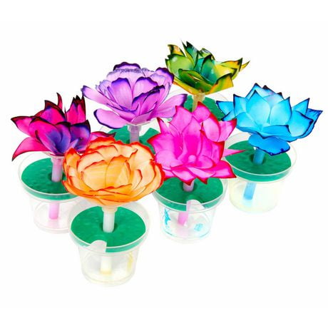 paper flower science kit