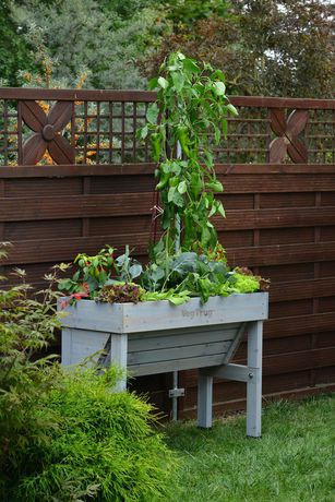 vegtrug wall hugger raised garden bed planter - grey