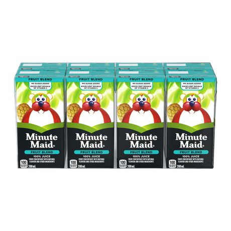 Minute Maid Fruit Blend Juice 200mL carton, 8 pack | Walmart Canada